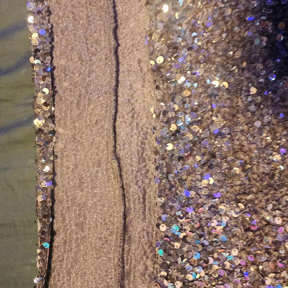 Fashion Nova Iridescent Sequin Backless Dress - Picture 3 of 6